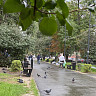 Саратовцам обещают похолодание до плюс 6 градусов и сильный дождь 